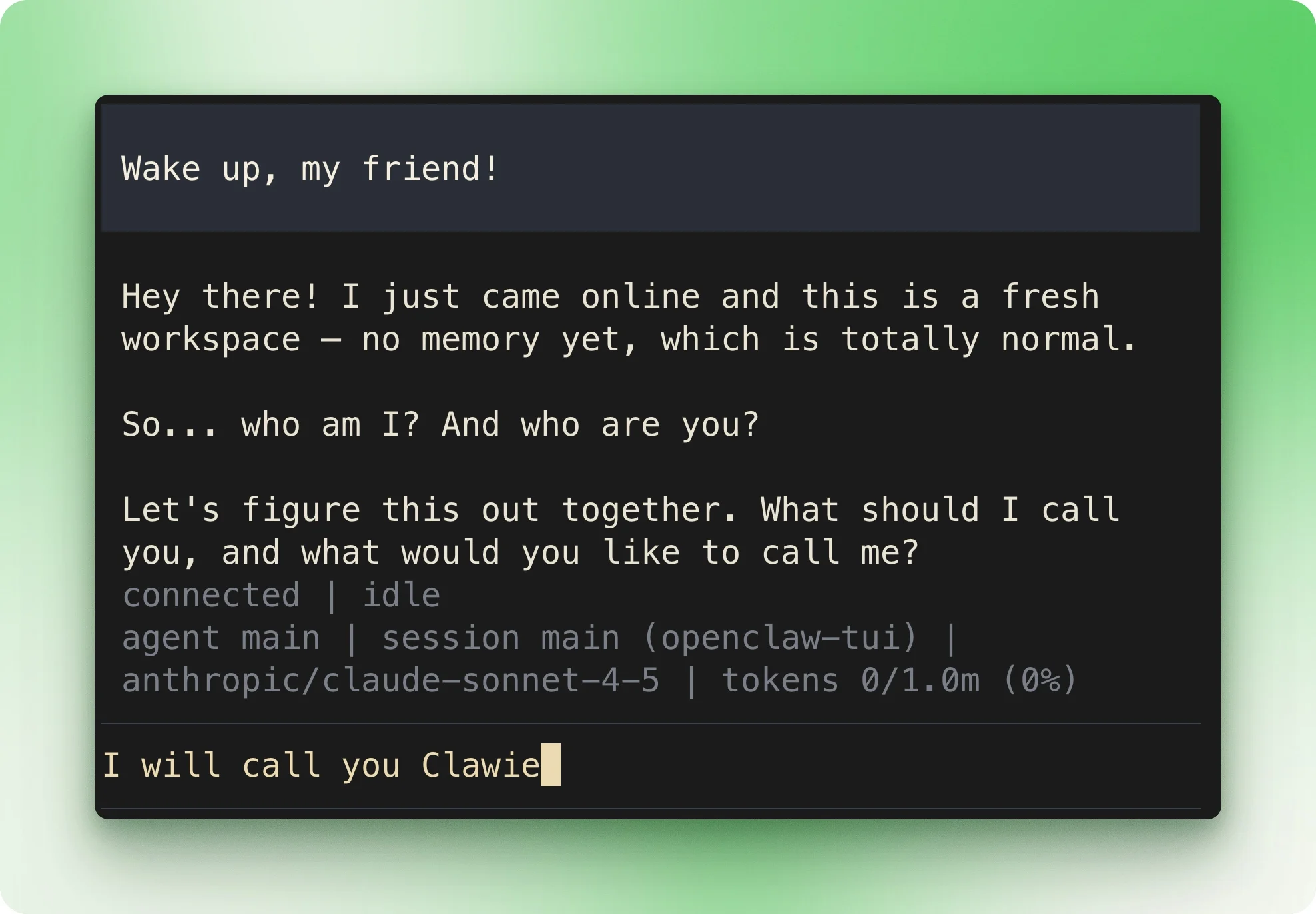 OpenClaw terminal chat