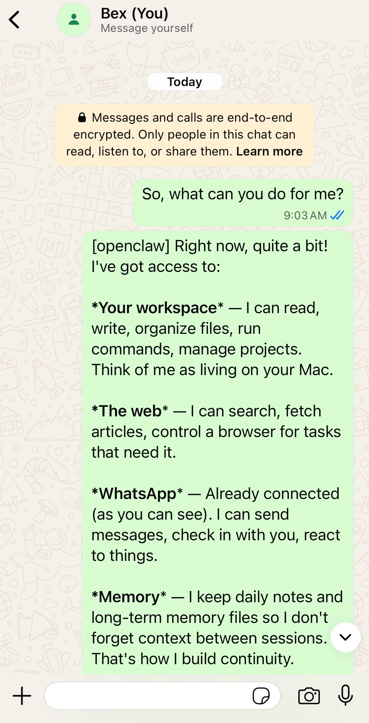 OpenClaw whatsapp response