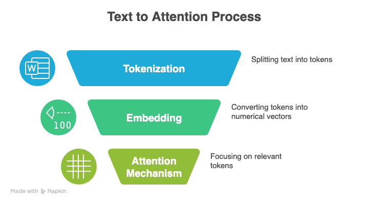 Proceso de atención al texto: tokenización, incrustación, mecanismo de atención.