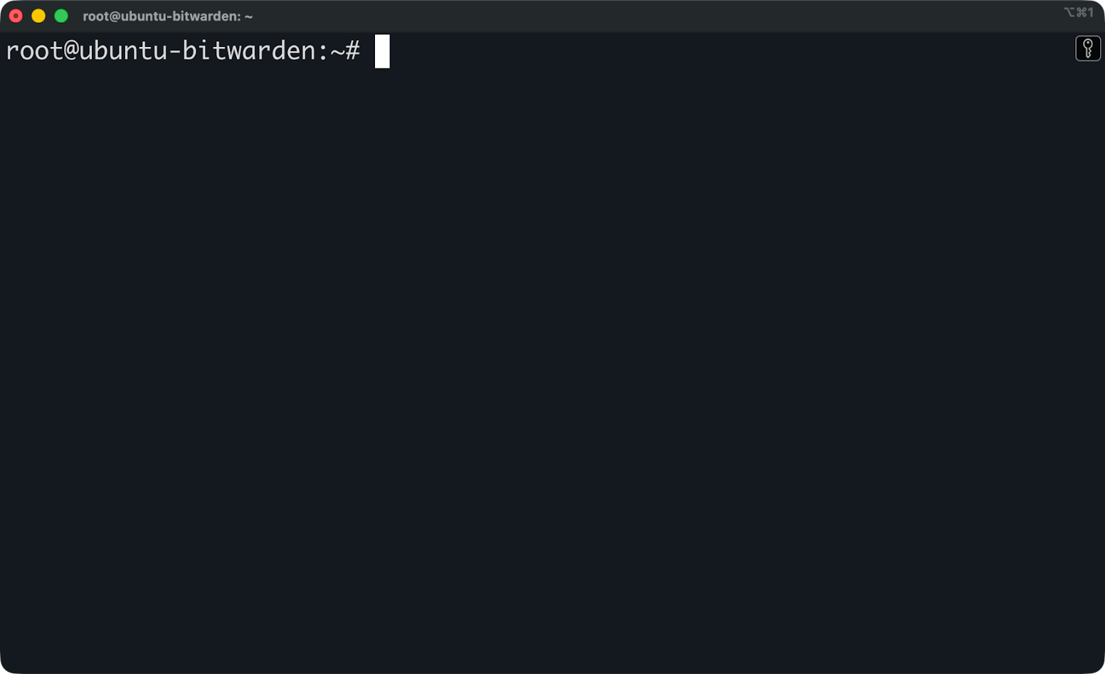 Connecting to the Ubuntu instance