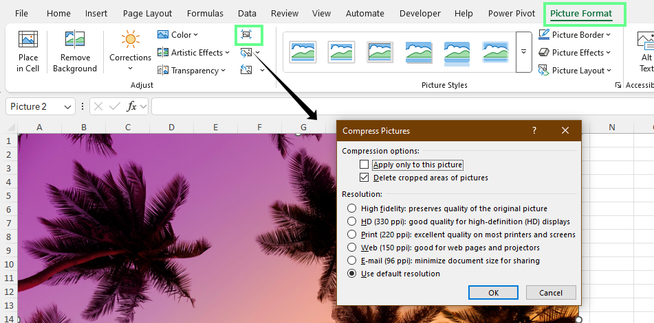 Compressing the image size using Picture Format in Excel.
