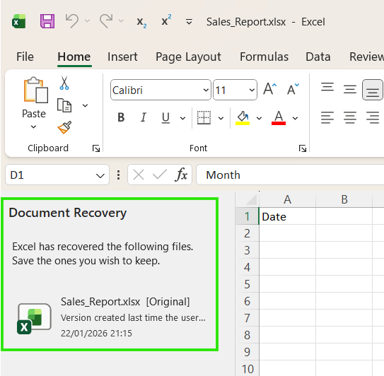 Document Recovery in Excel