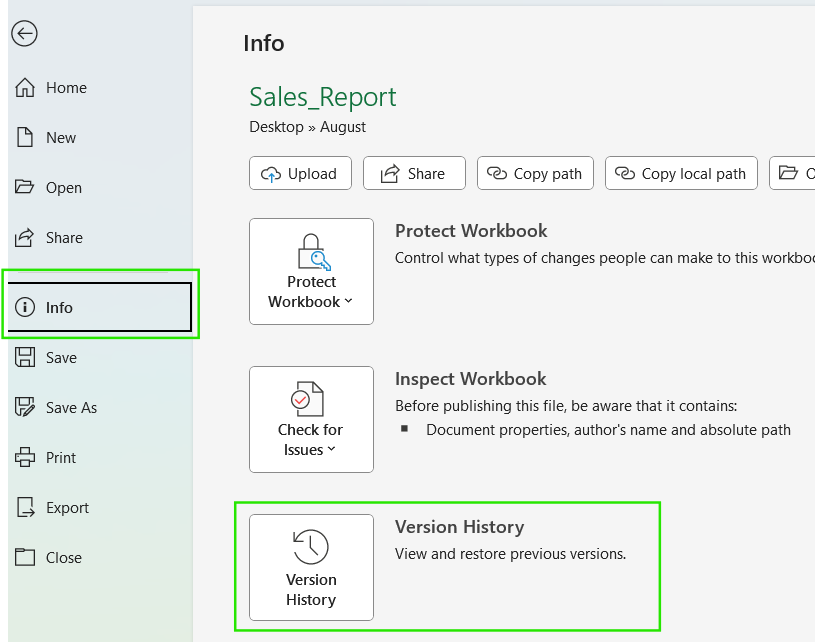 Version History in Excel.