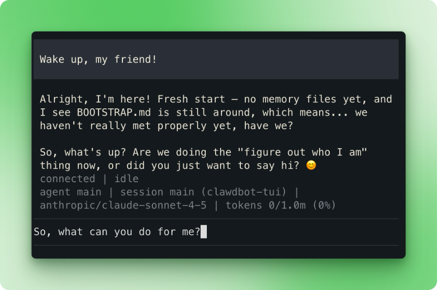 Title: Terminal chat interface with Moltbot - Description: Terminal chat interface with Moltbot