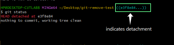 HEAD Detached in removing the file in git