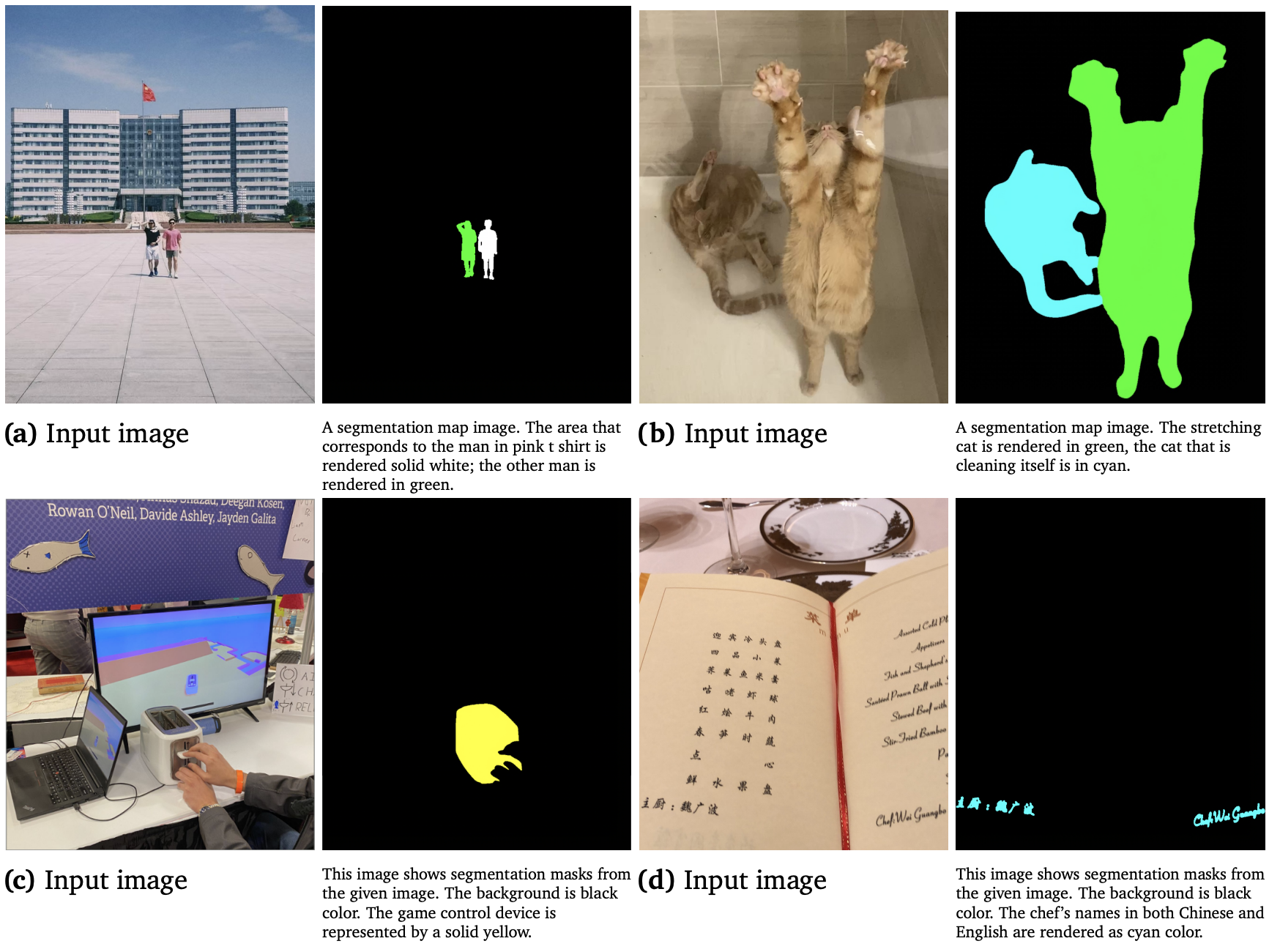 Expression segmentation