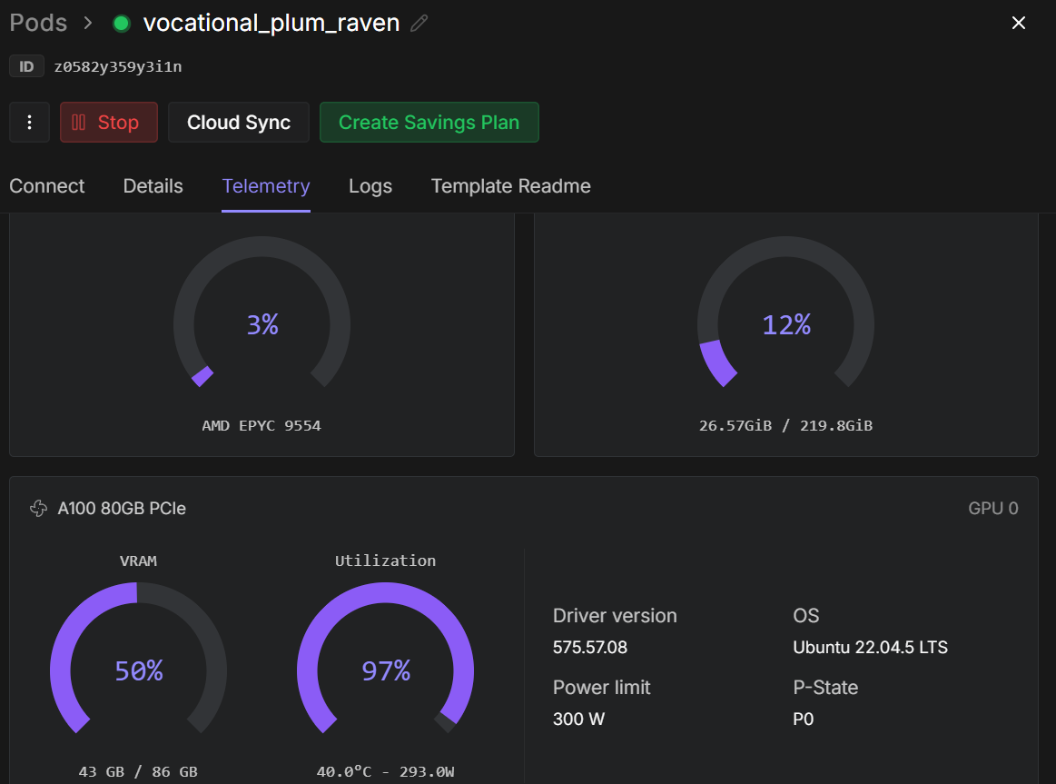 Runpod Telemetry during training the model
