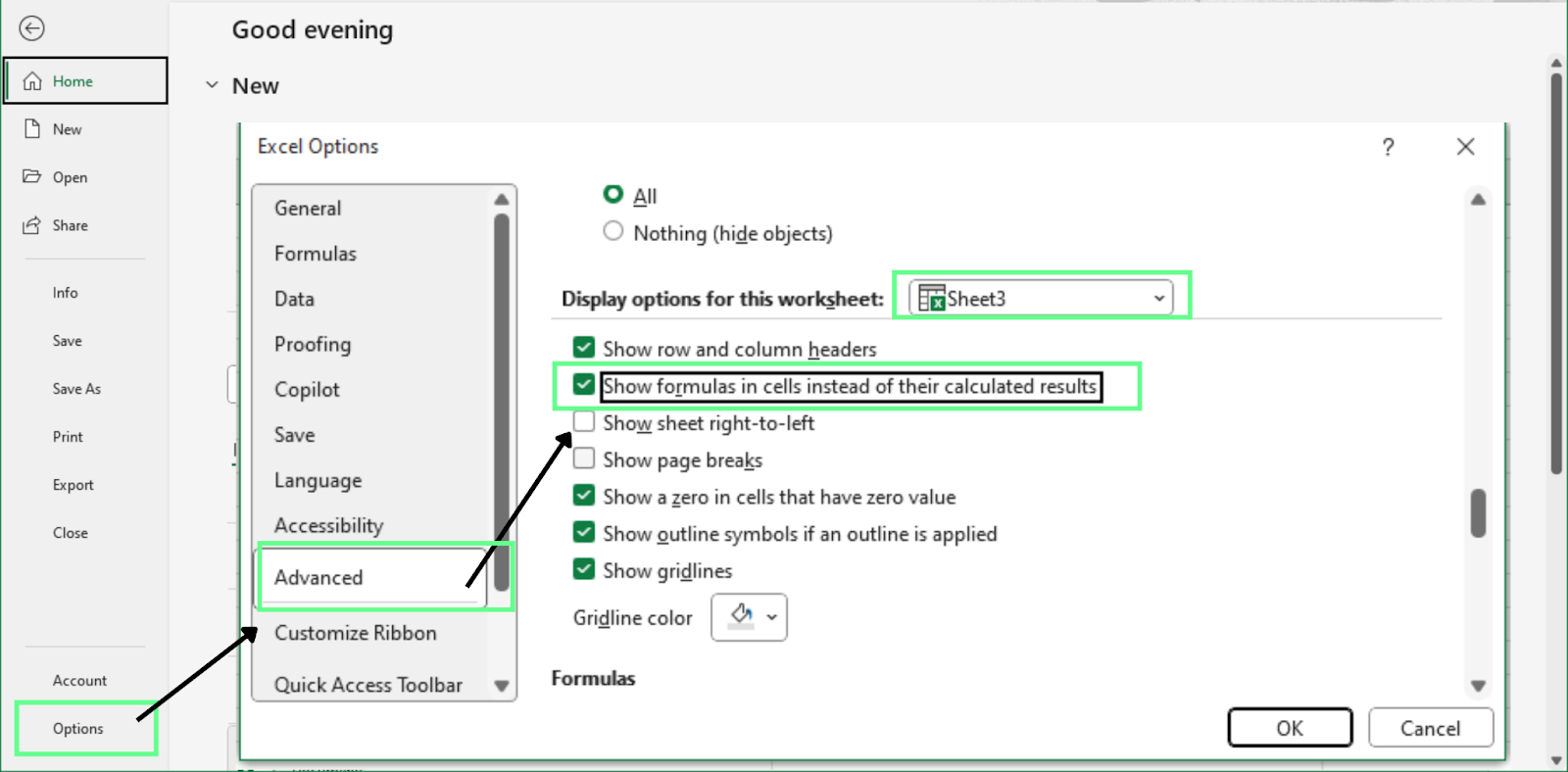 Display the formulas in the worksheet using Excel Options menu.