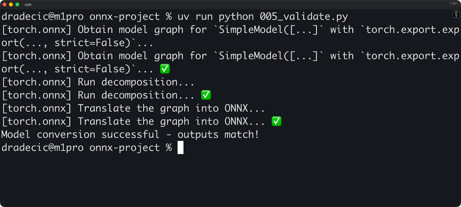 Image 4 - ONNX model validation