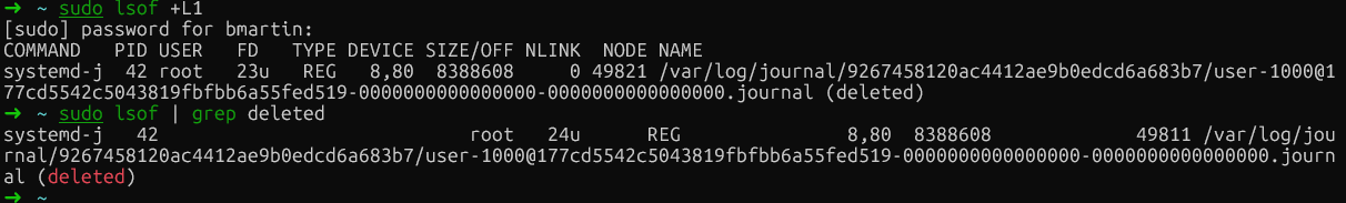 Archivos eliminados de Docker