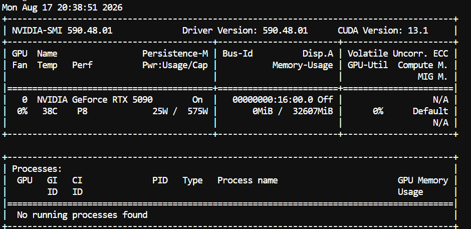 RTX 5090 GPU summary