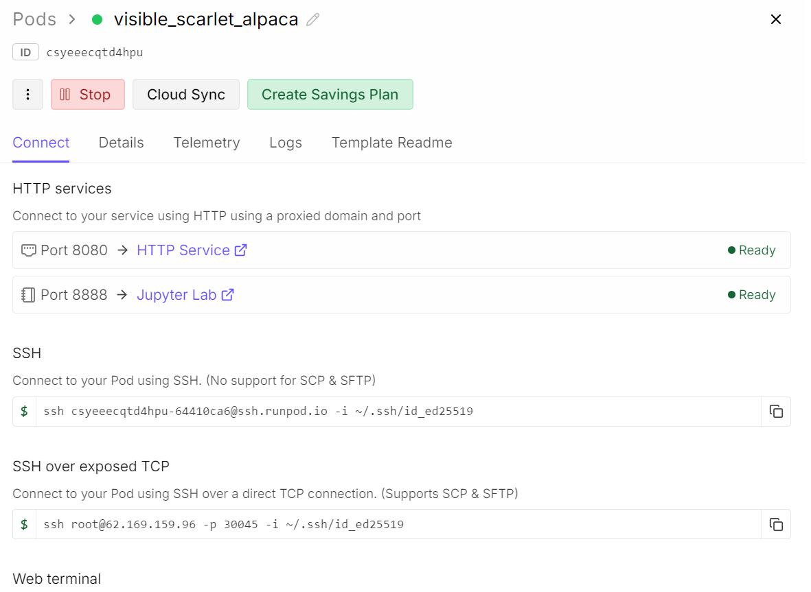 Runpod dashboard for currently running pod.