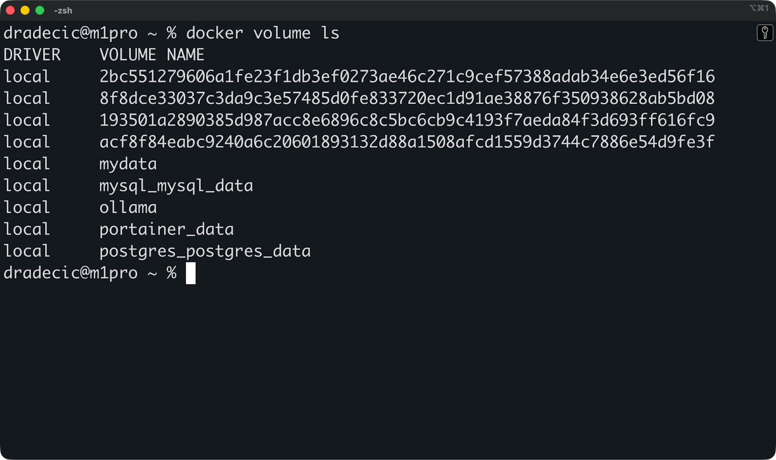 Image 3 - Listing all Docker volumes