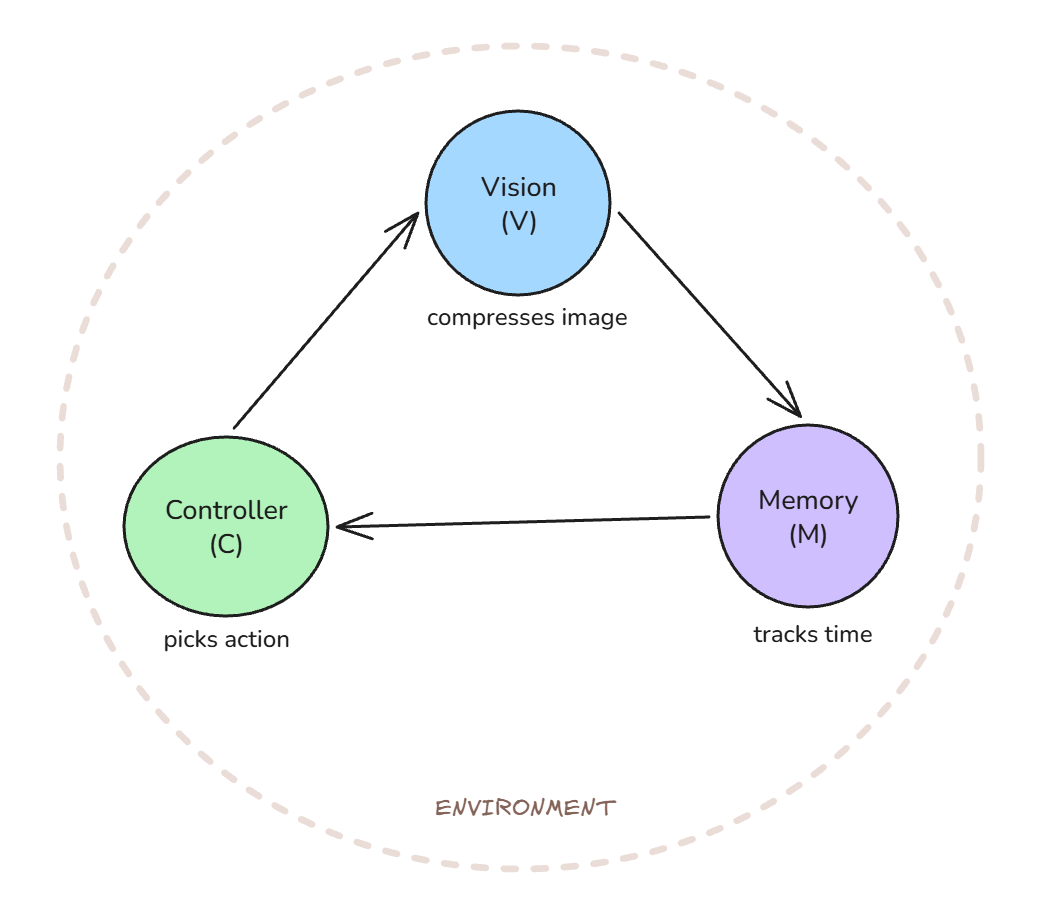 How vision, memory and controller cycle inside the environment