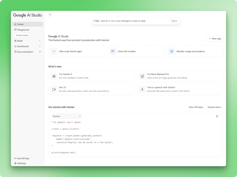 Google AI Studio home page