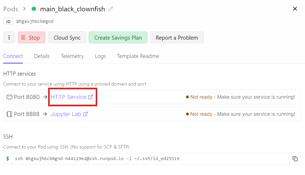 Runpod dashboard to access the webUI