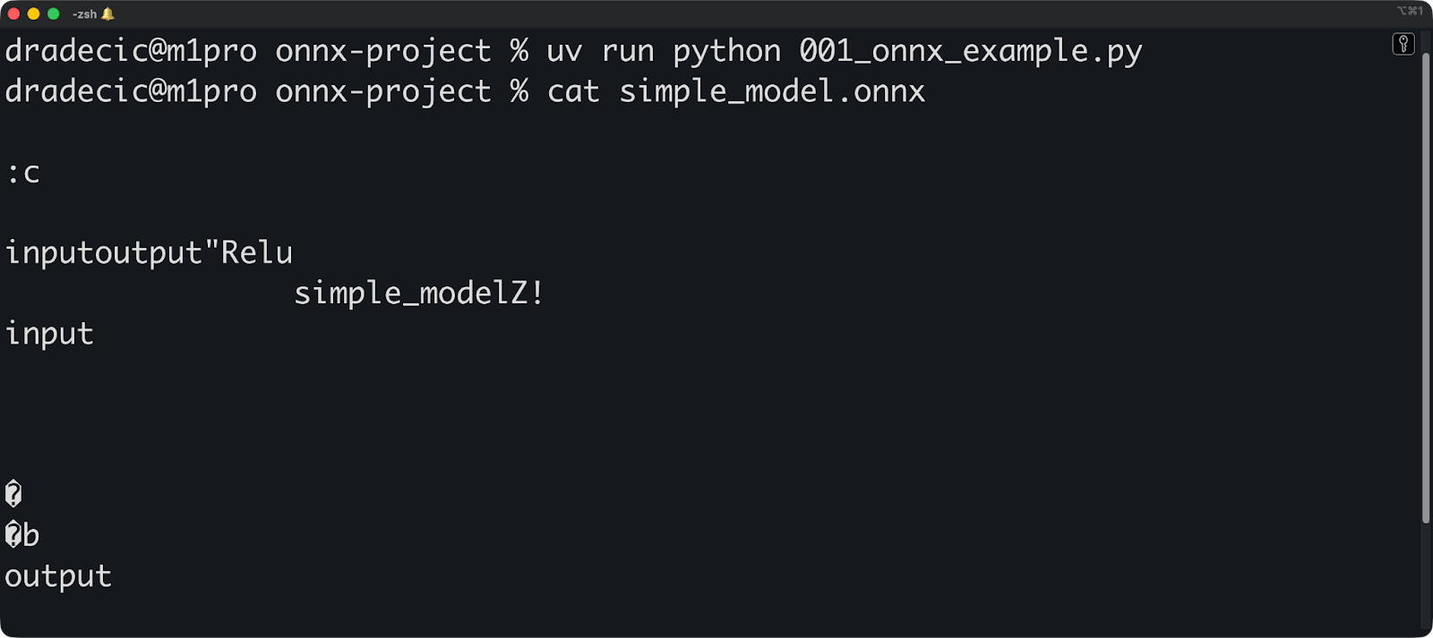 Image 3 - Simple ONNX example