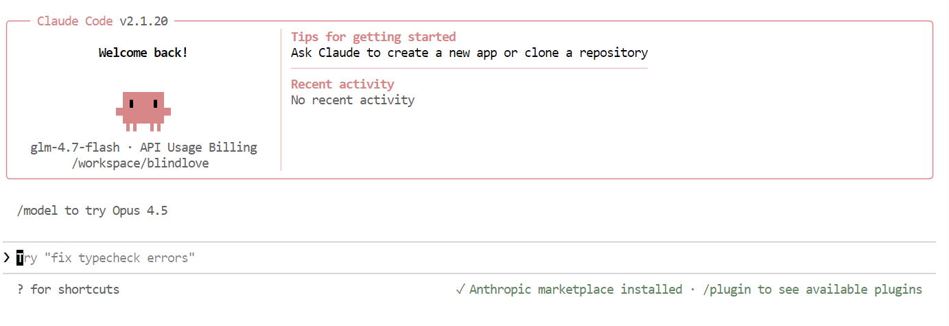 Claude Code Interface in terminal