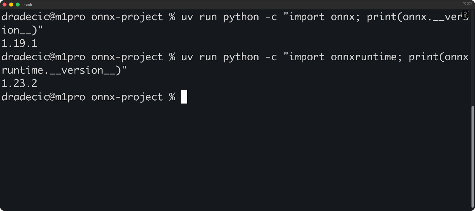 Image 2 - ONNX and ONNX Runtime. versions