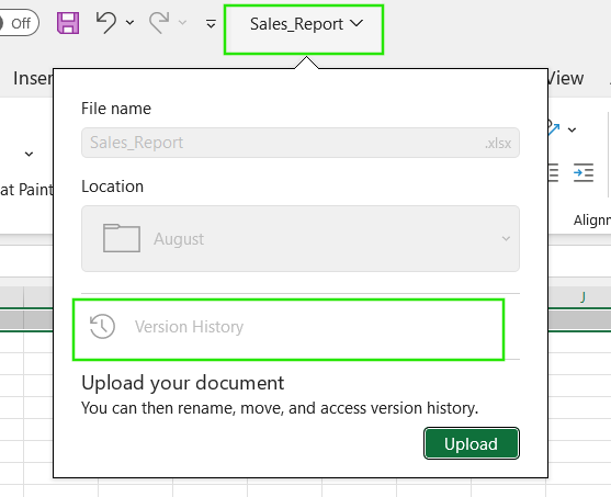 Version History in Excel