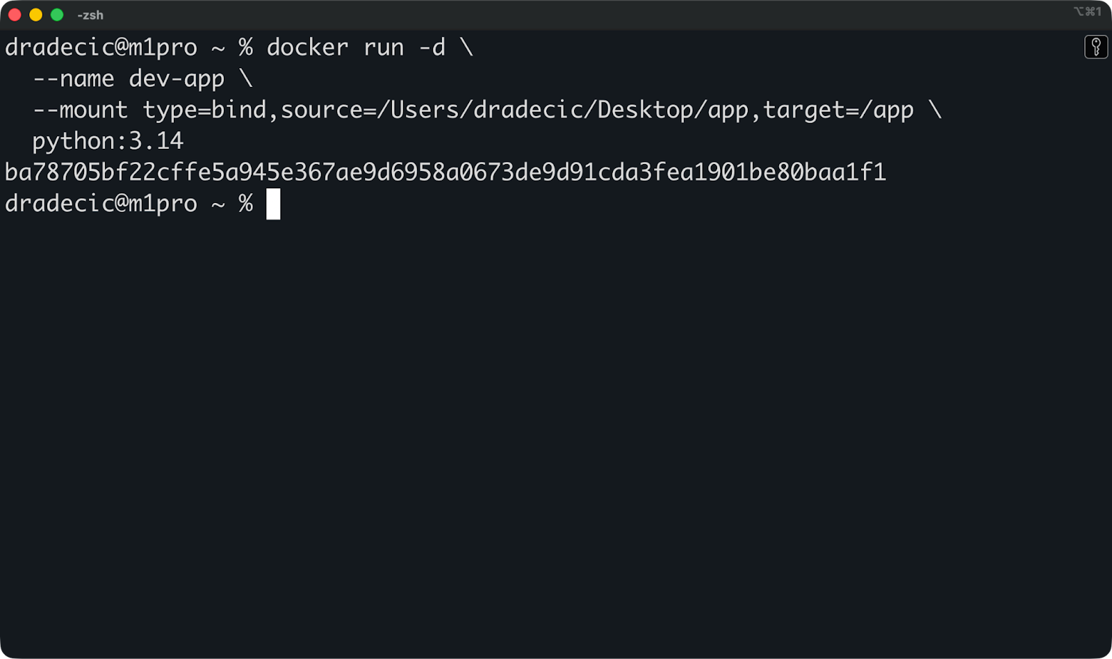 Image 7 - Using a bind mount with Docker