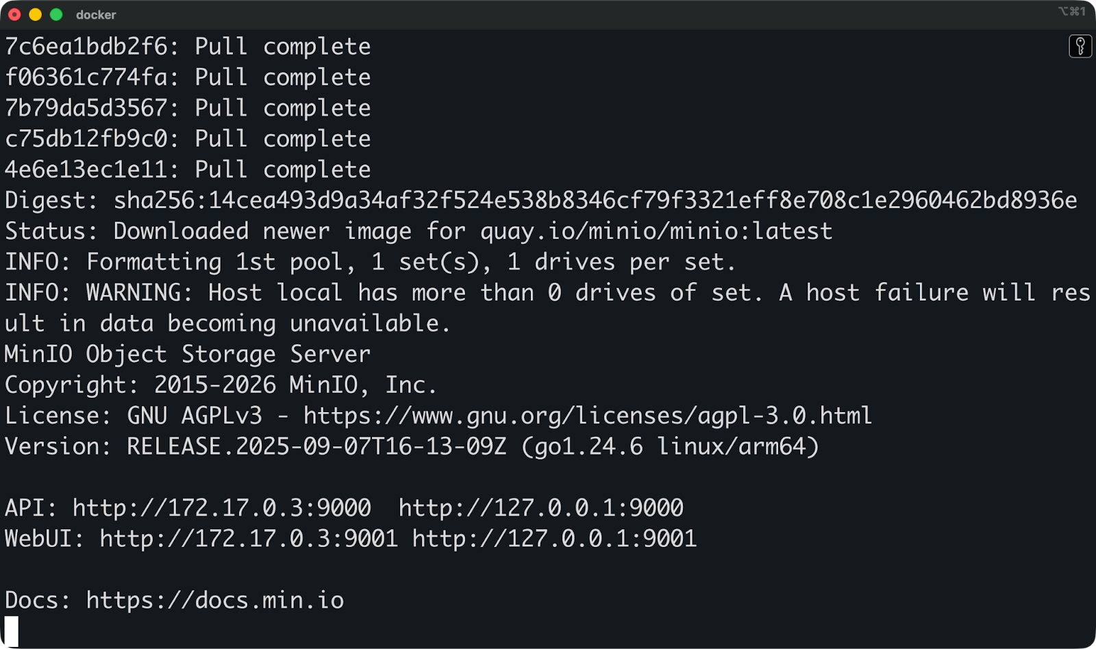 Image 1 - Running MinIO with docker run