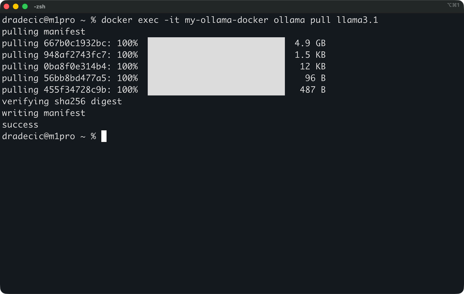 Image 4 - Pulling the Llama3.1 model