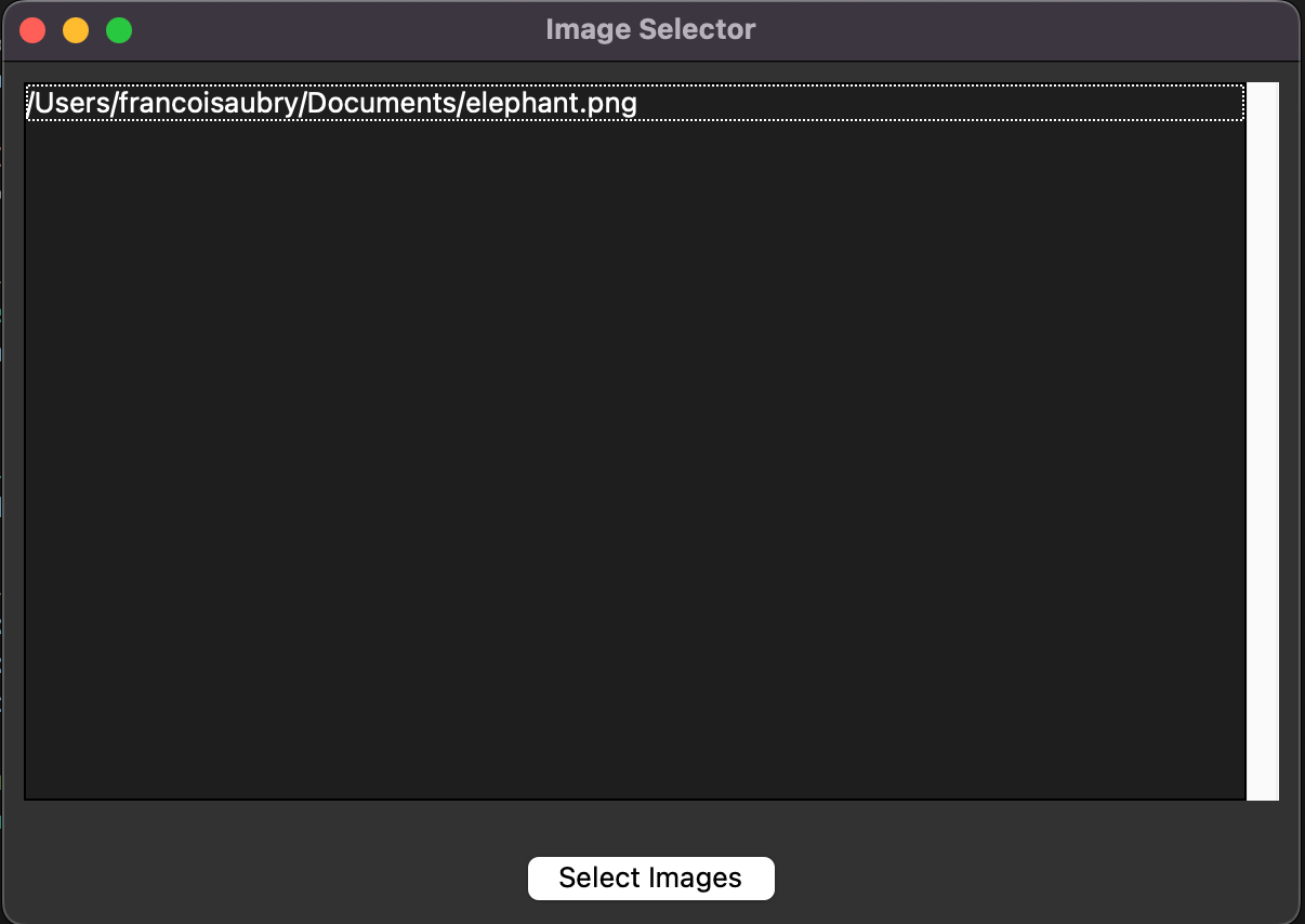 Interface de edição de imagens com IA, com uma área para digitar o caminho do arquivo da imagem e um botão “Selecionar Imagens” na parte de baixo.
