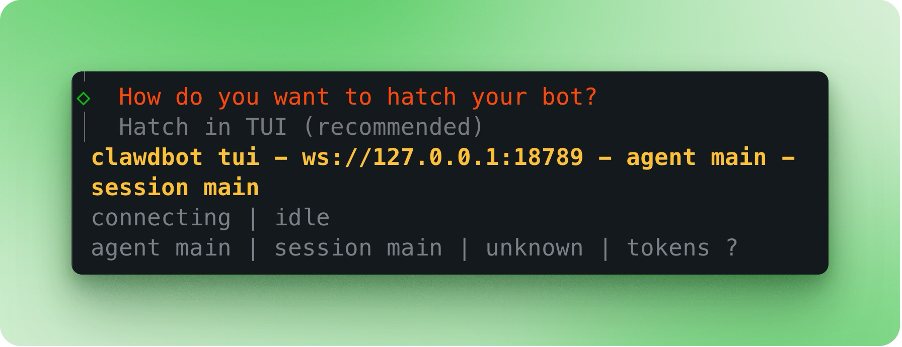 Title: Moltbot terminal user interface hatch option for launching the agent - Description: Moltbot terminal user interface hatch option for launching the agent