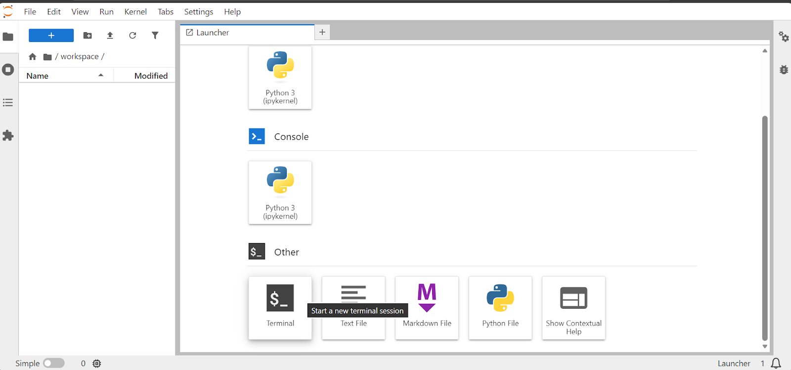 Jupter lab instance on the Runpod