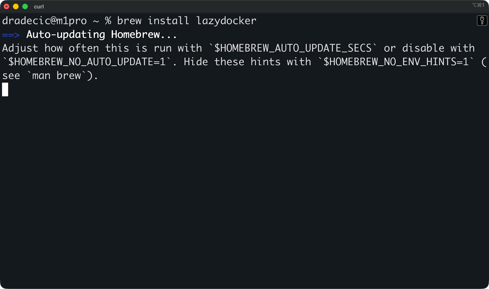 Lazydocker auf macOS installieren