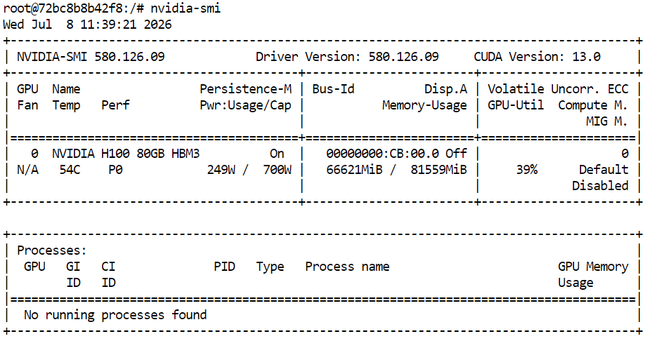 Nvidia model statistic while model training