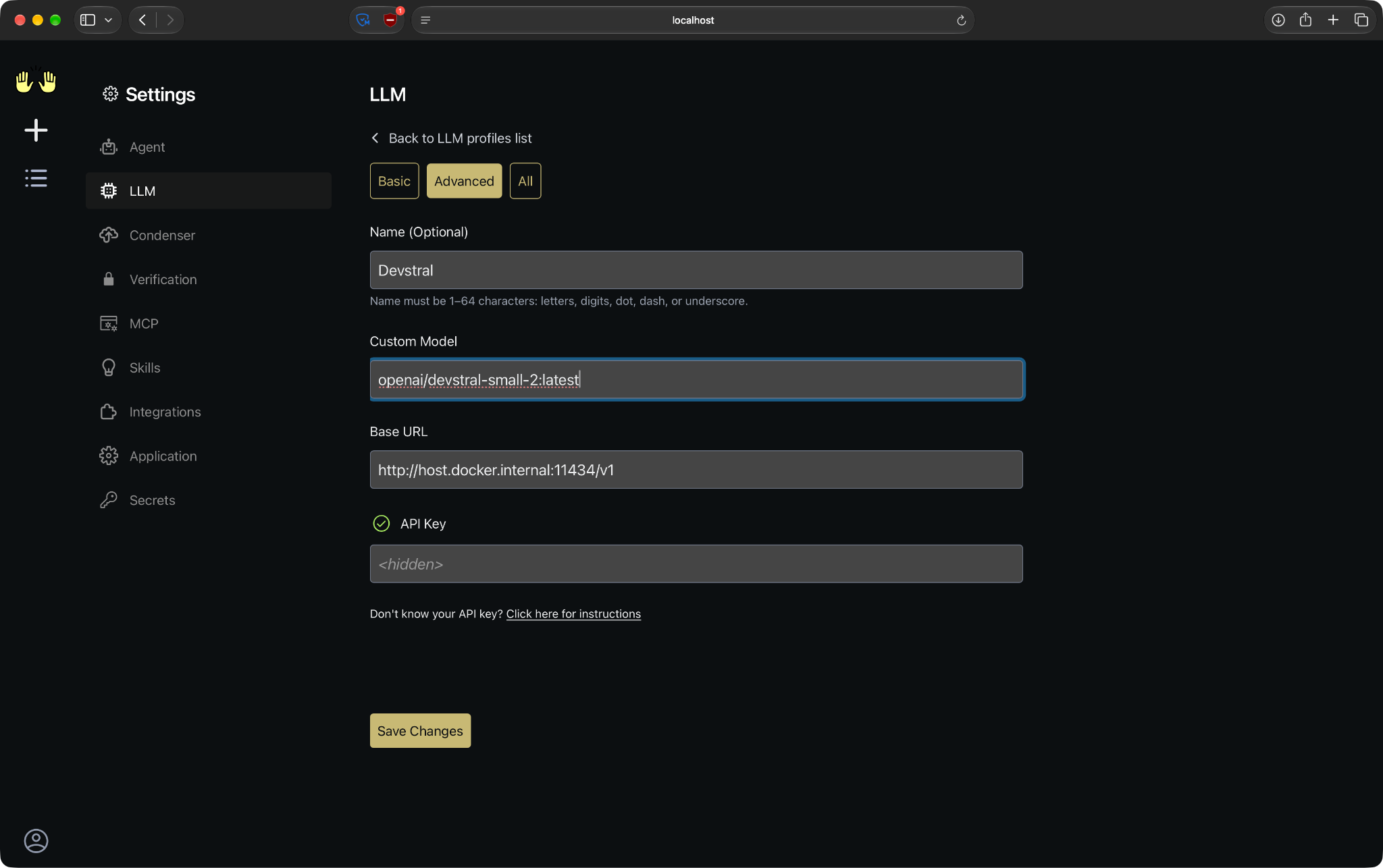 LLM settings for a local Ollama model