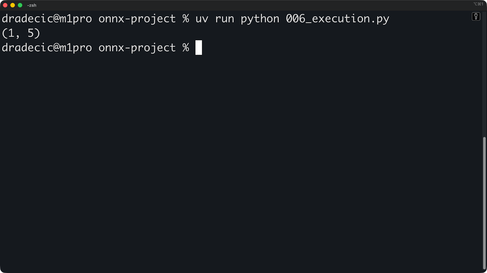 Image 5 - Running a PyTorch model with ONNX