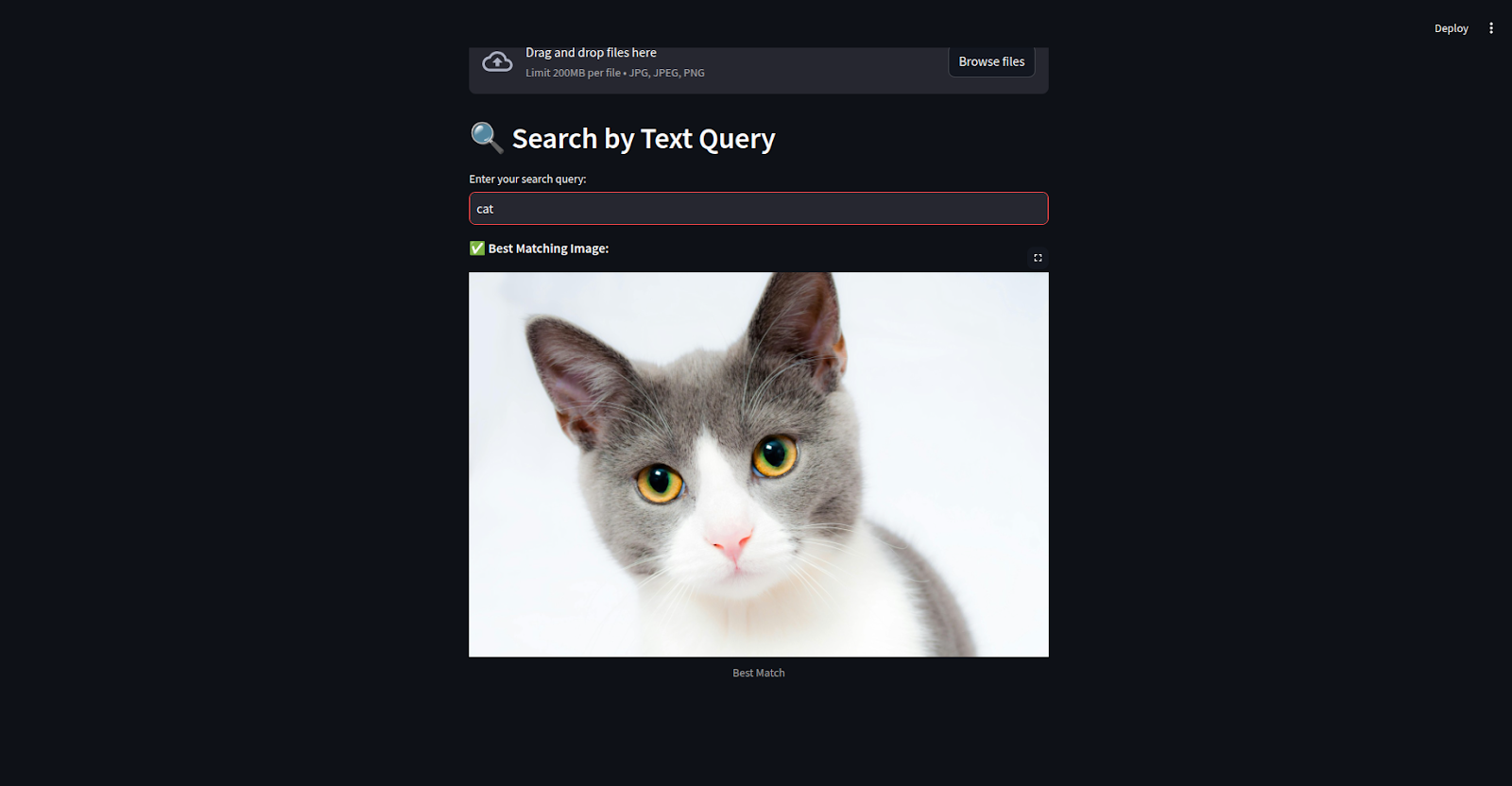Image Search App with cat as search query