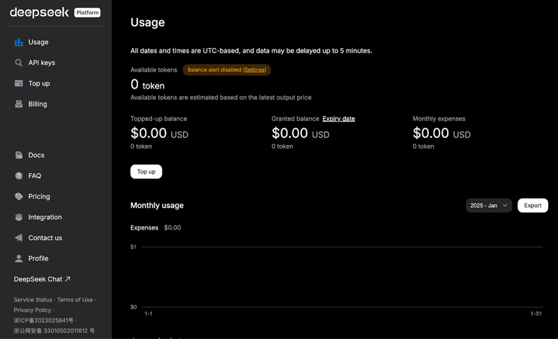 Deepseek API Platform