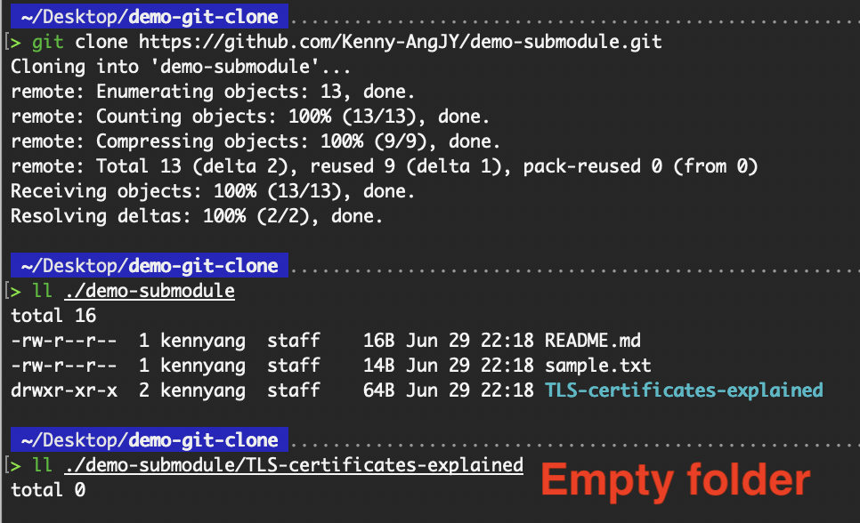Empty submodule folder