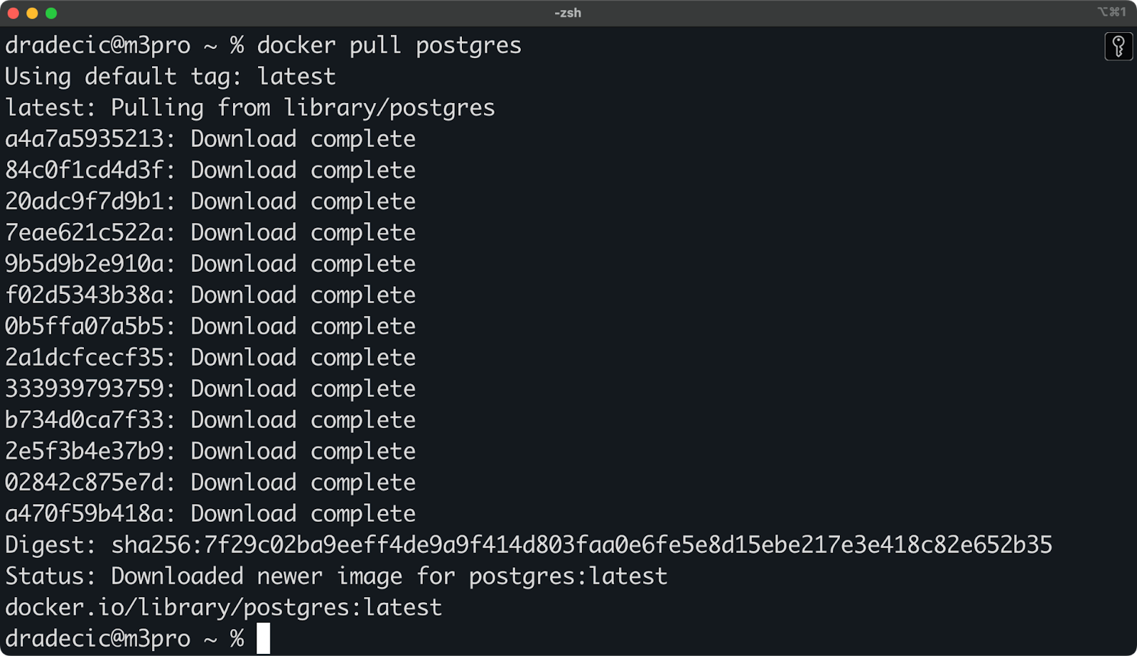 Image 1 - Pulling the latest stable version of PostgreSQL database image