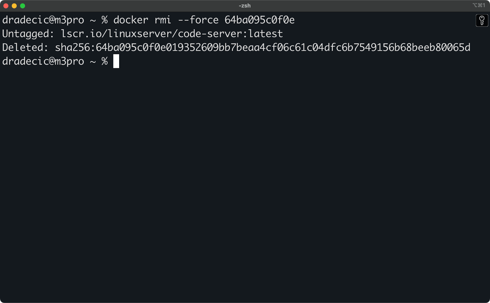 Image 15 - Force deleting Docker images