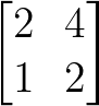 Einfache 2×2 Singulärmatrix