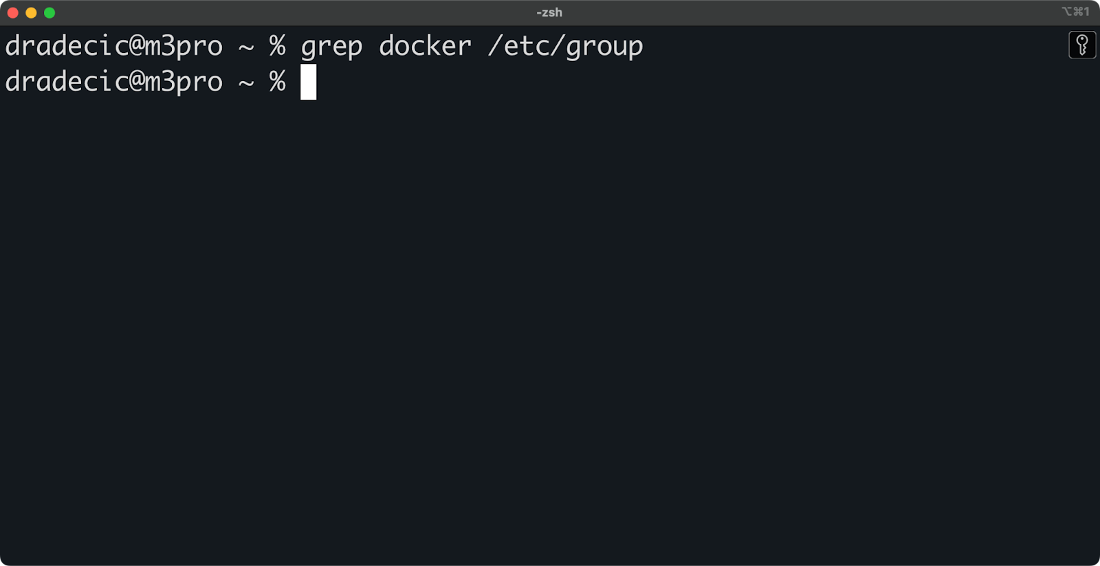 Imagen 1 - Comprobación de la existencia del grupo Docker