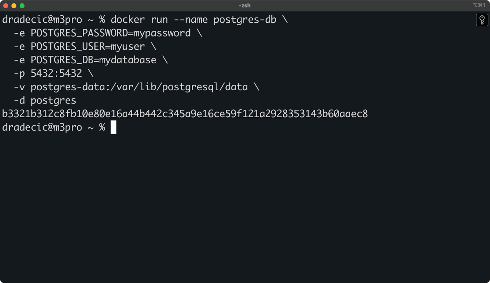 Image 3 - Starting a PostgreSQL container with env variables in detached mode