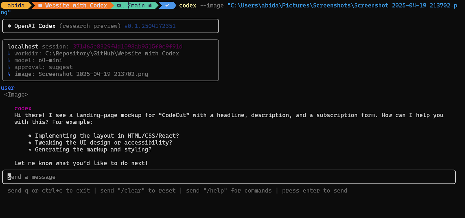 Codex command with image input