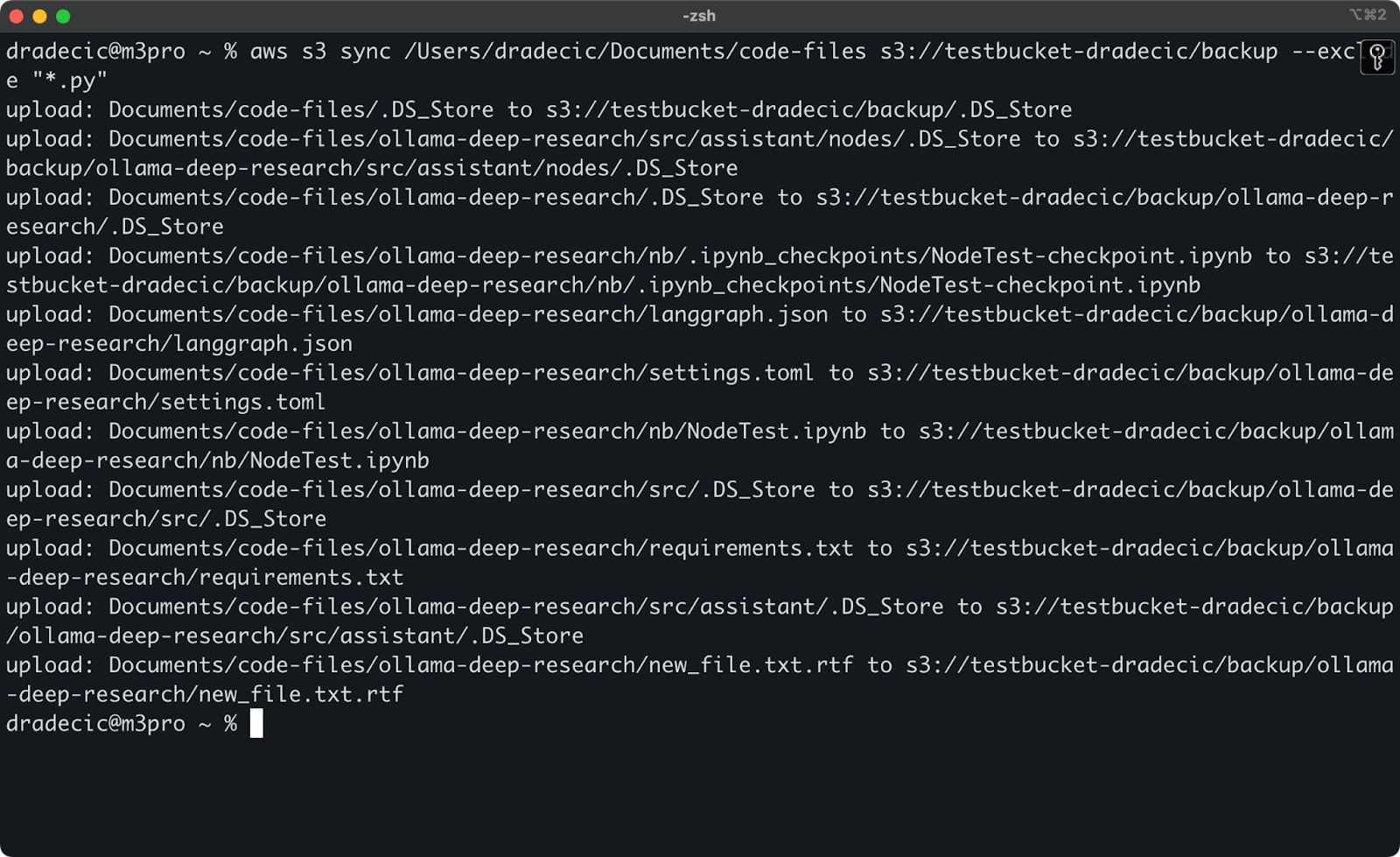S3 sync with Python files excluded