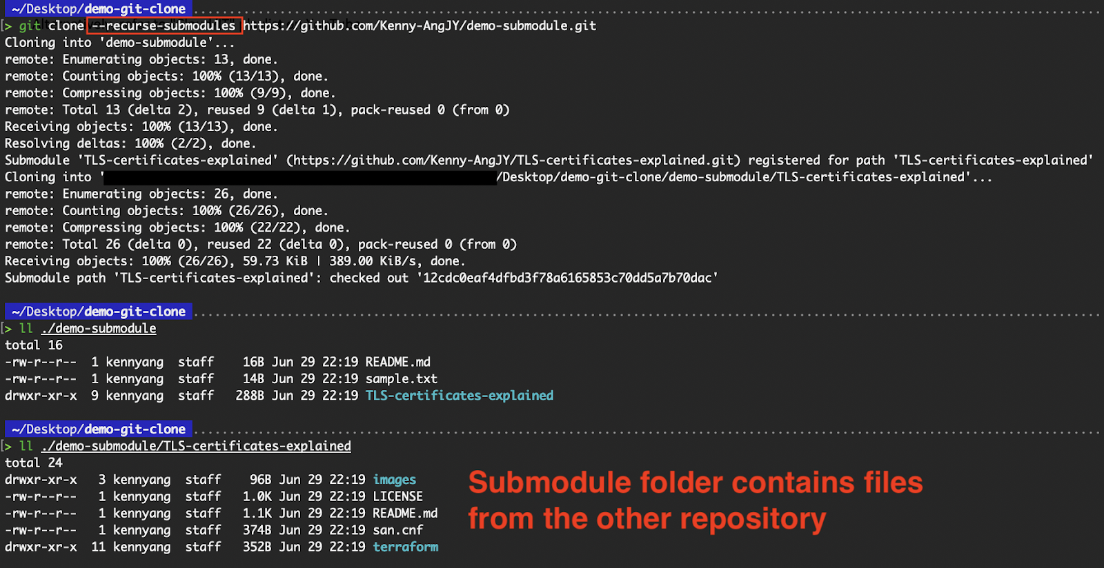Clone files within the submodule directory