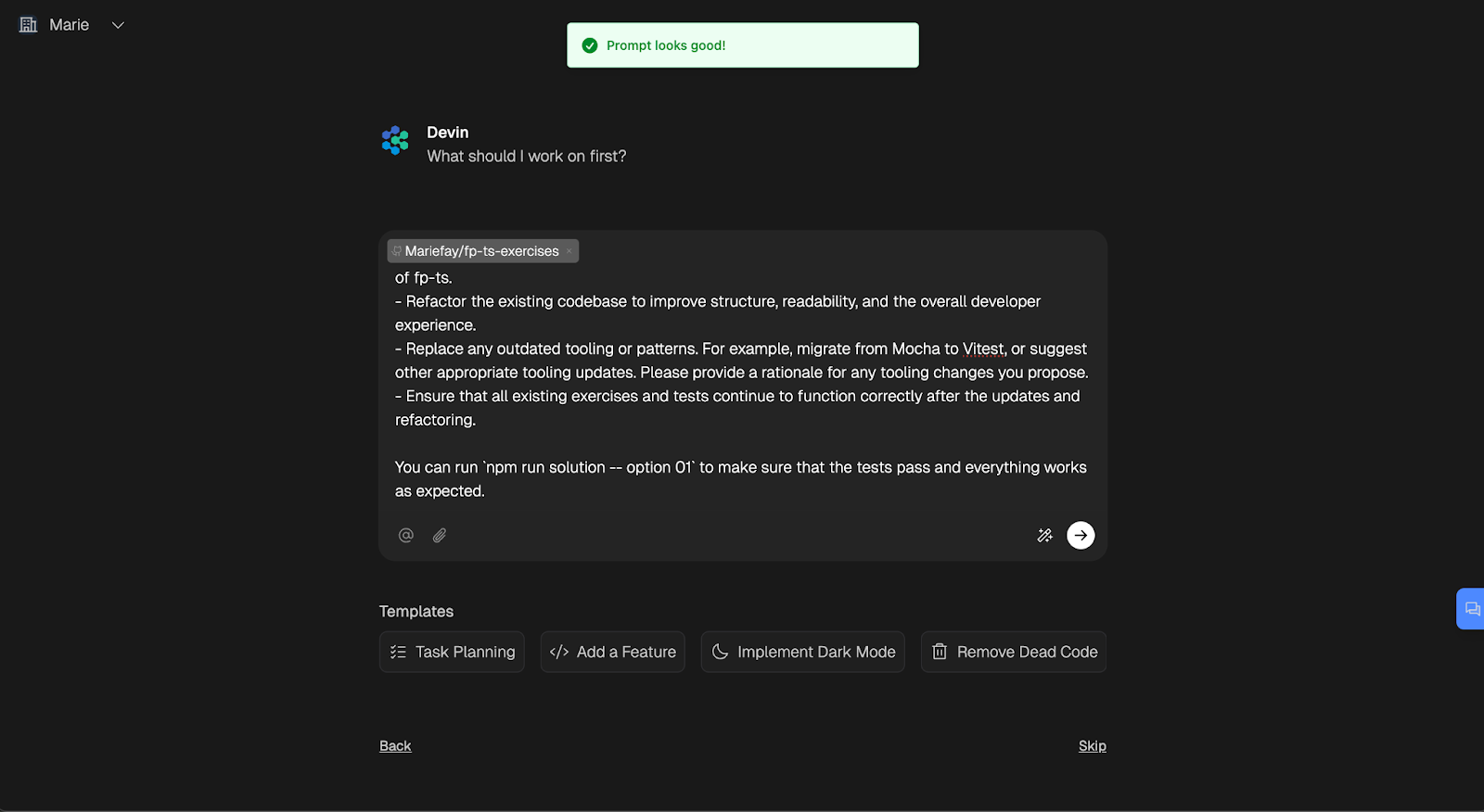 prompt optimization devin