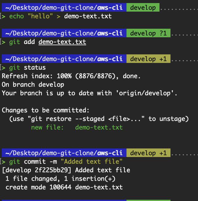 Add a commit to the cloned repository