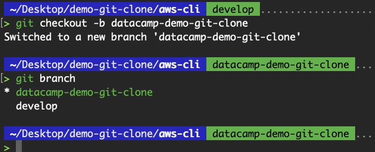 Create a local branch in the cloned repository