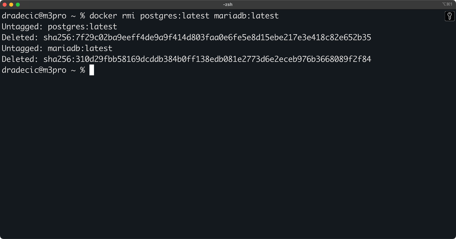 Image 5 - Removing multiple Docker images