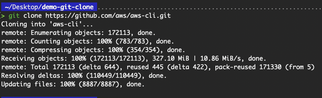 Basic git clone command